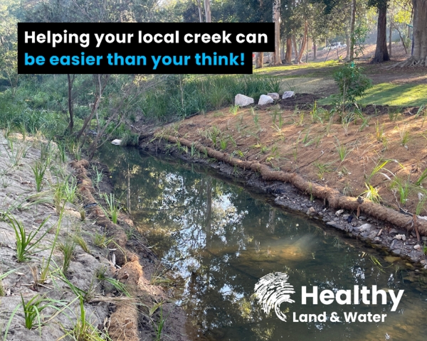 Things you can do to care for your local creek