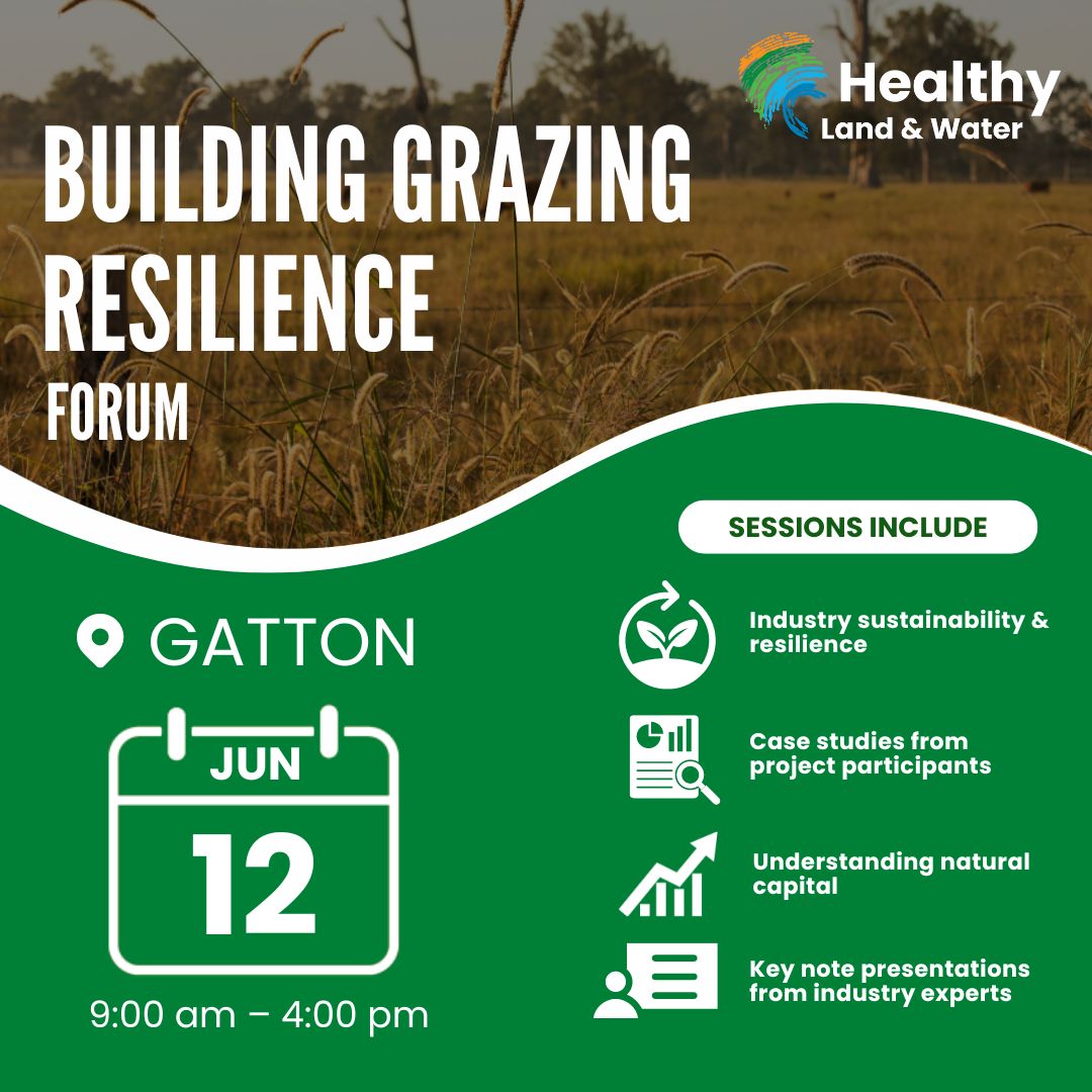 Building Grazing Resilience Forum | Gatton