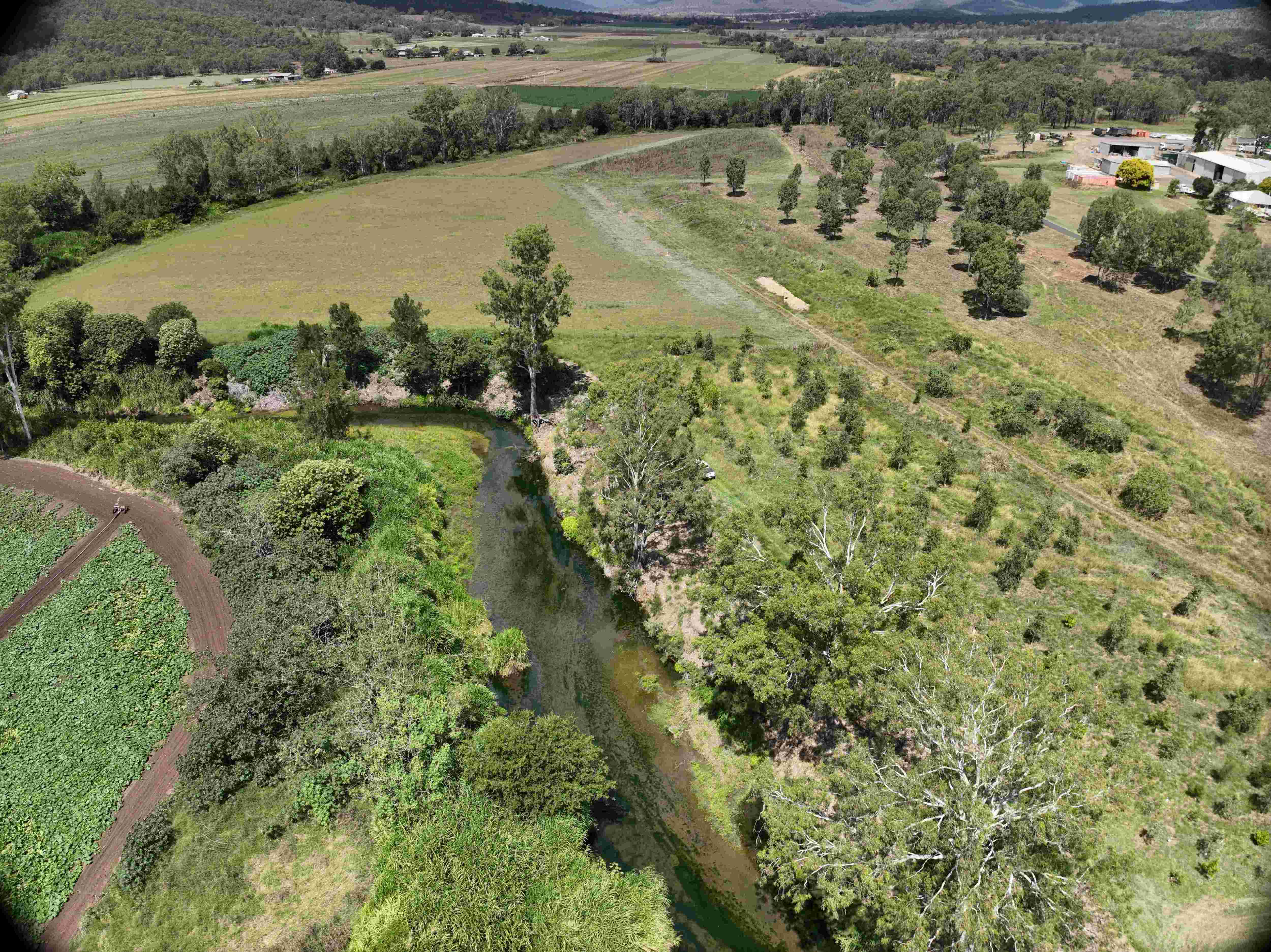 Catchment rehabilitation supporting healthier regional waterways