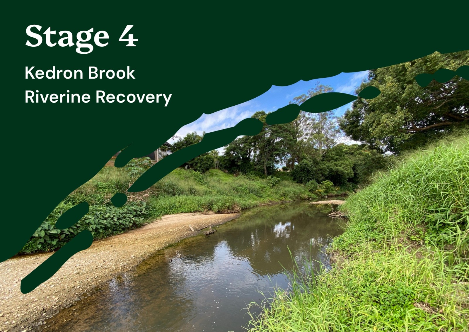 Stage 4 of the DRFA Kedron Brook Riverine Recovery Project is going ahead!