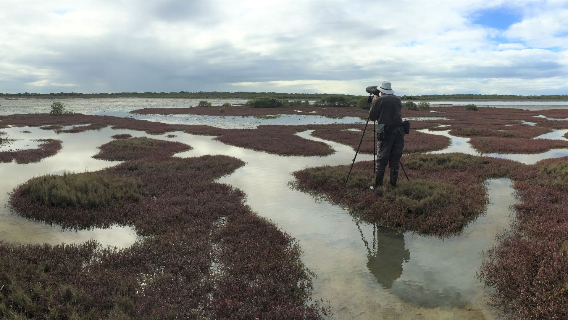 Get your hands dirty for science: Citizen Science Month in South East Queensland