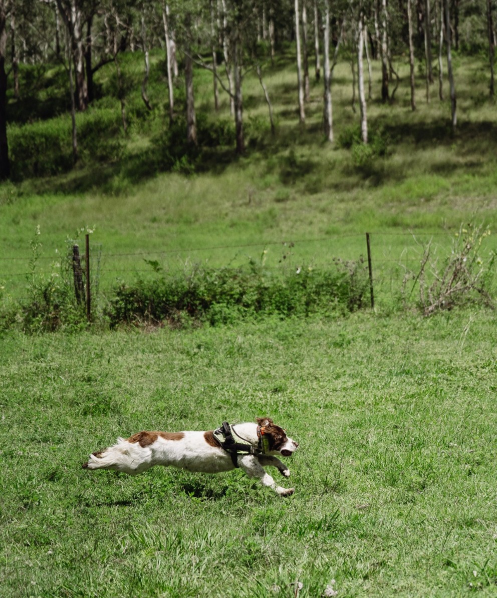 Danny at work TSR field day
