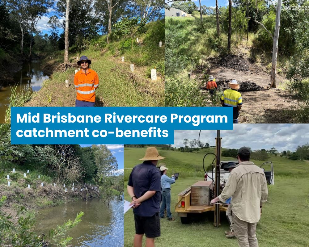 The Mid Brisbane Rivercare Program: a win-win for landholders and the Mid Brisbane water supply
