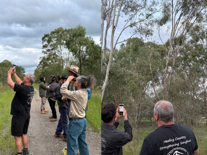 NKMP workshop koala spotting grouped