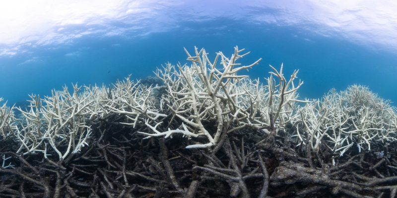 State of the Climate report 2022 – changes to weather and climate extremes happening at an increased pace