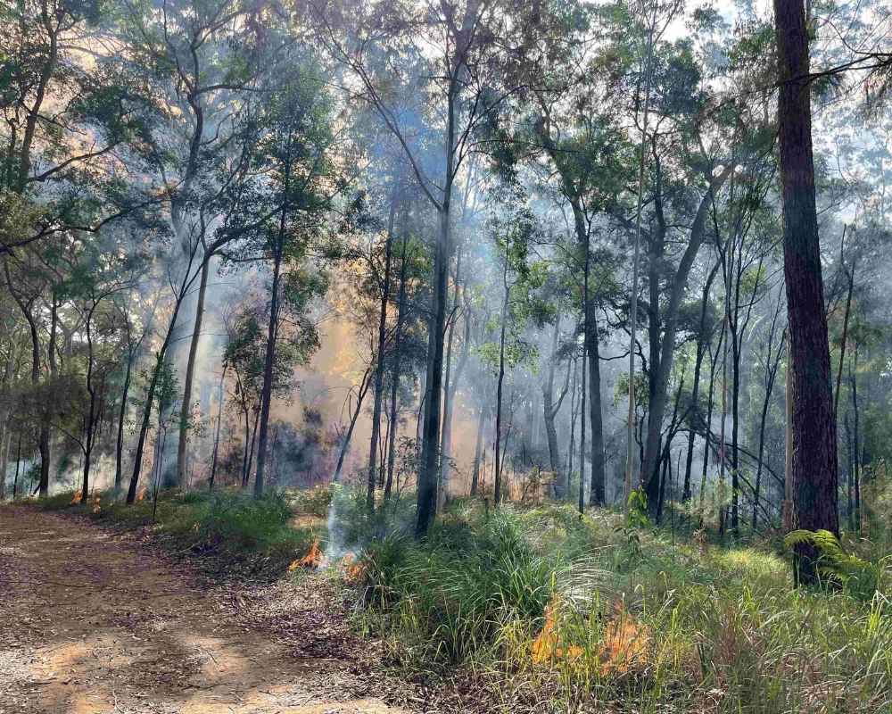 Planned burns are underway across Queensland
