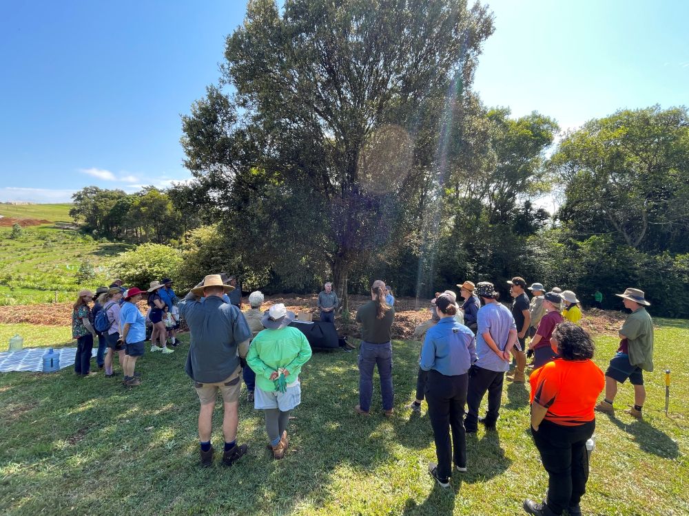 Ways to get involved in protecting South East Queensland’s natural environment