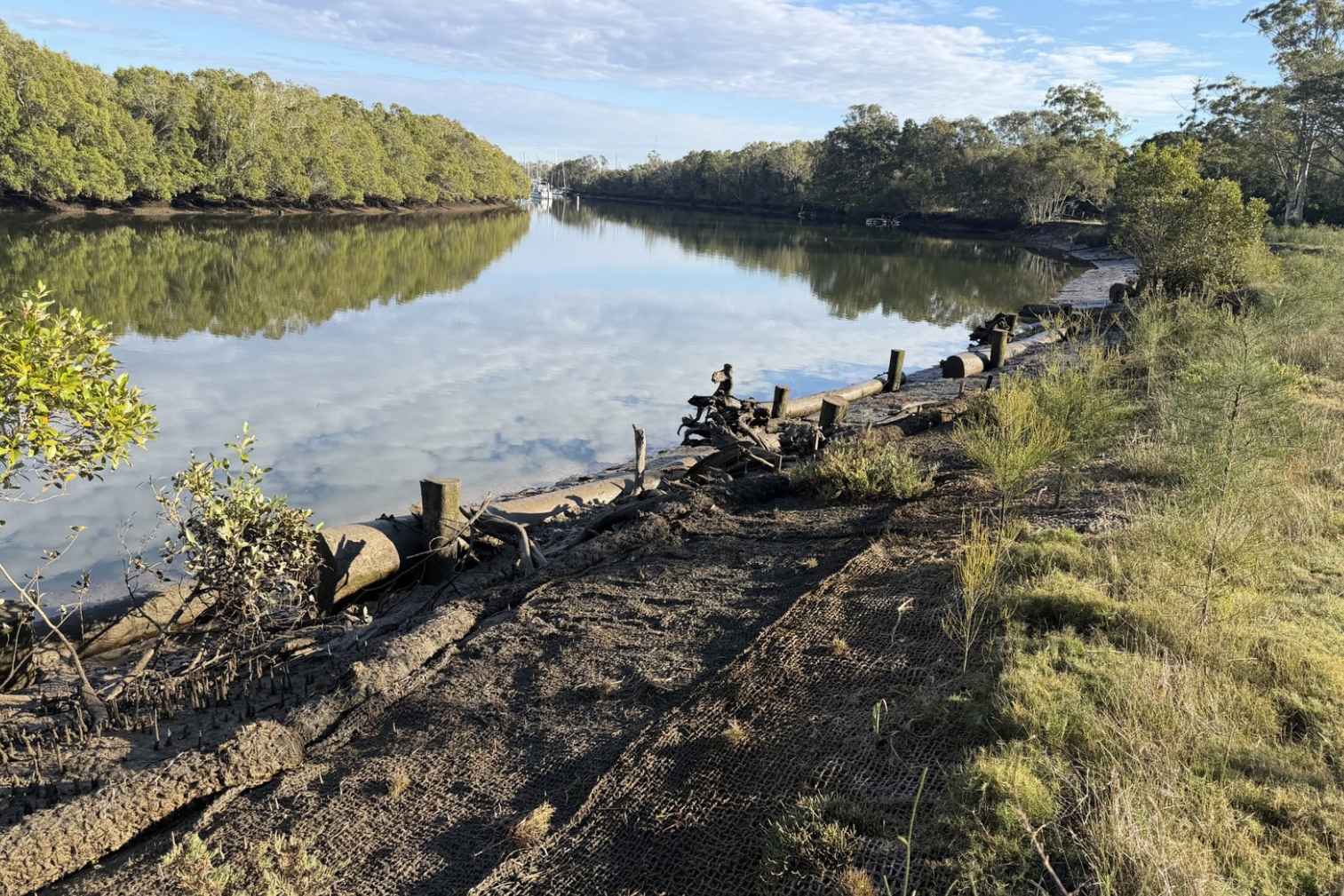 An unexpected journey: My environmental management placement with Healthy Land & Water