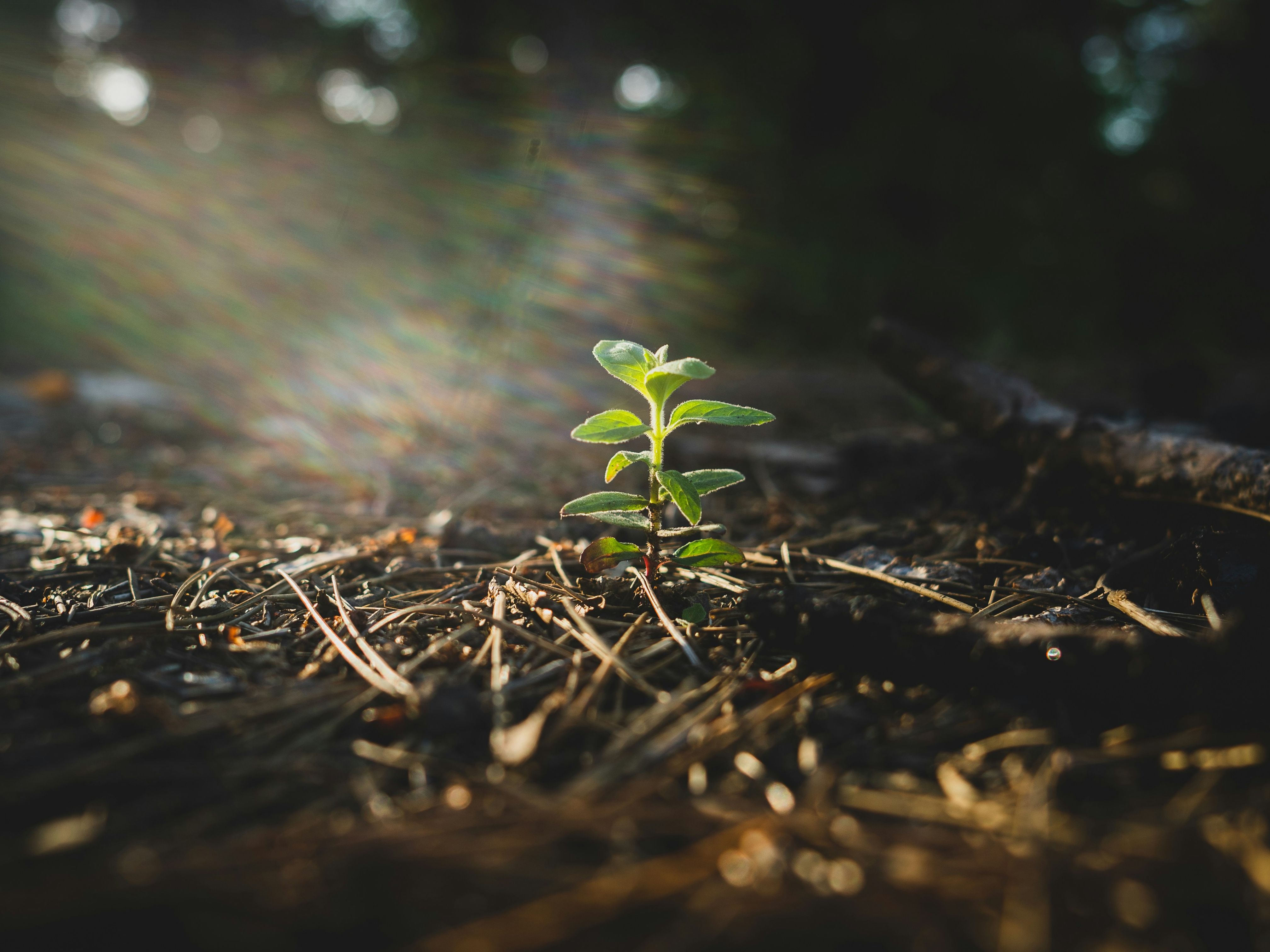 Science for everyone: Healthy Land & Water marks National Science Week 2026 