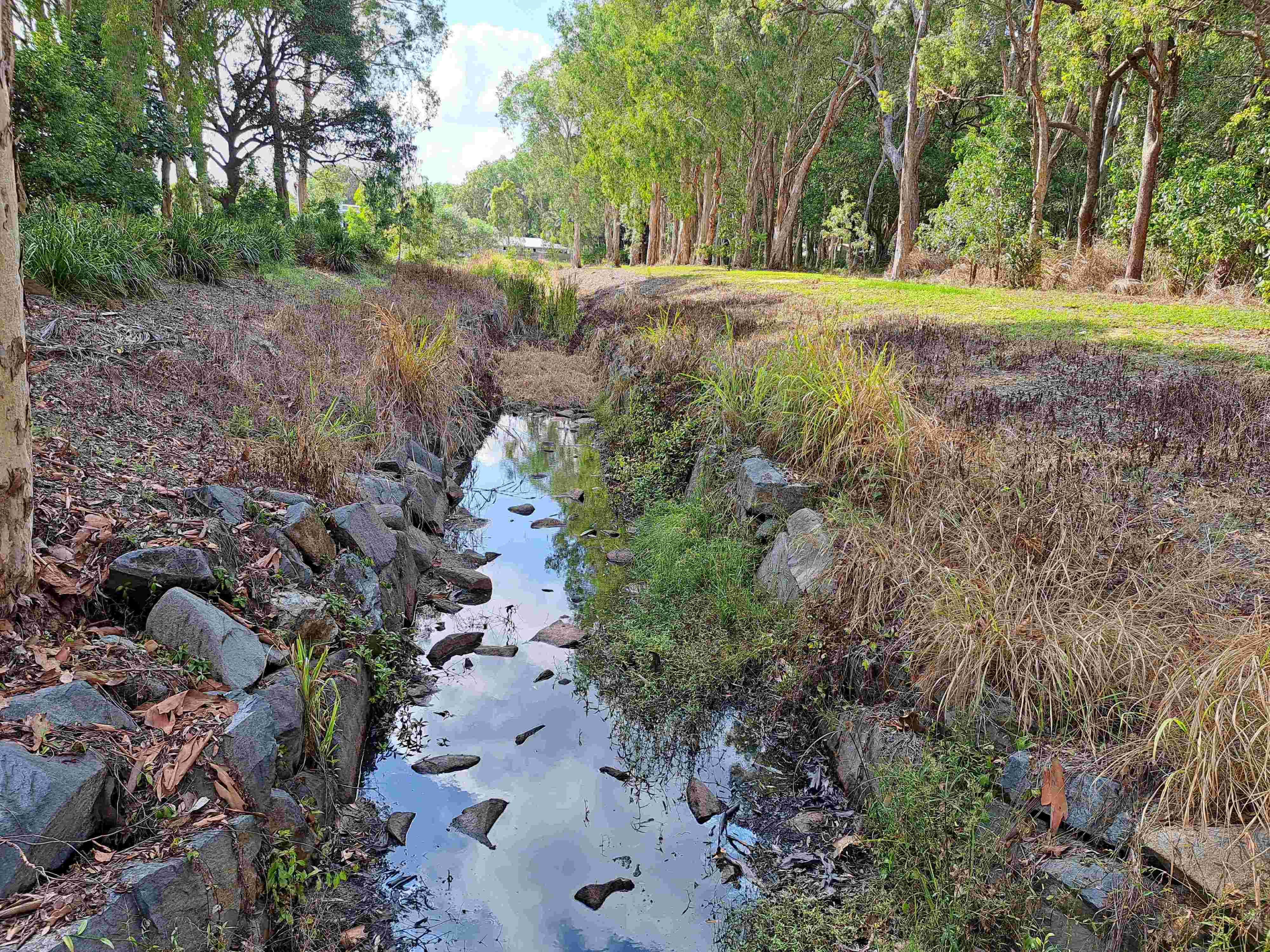 Woodlands District Park BEFORE Low res2