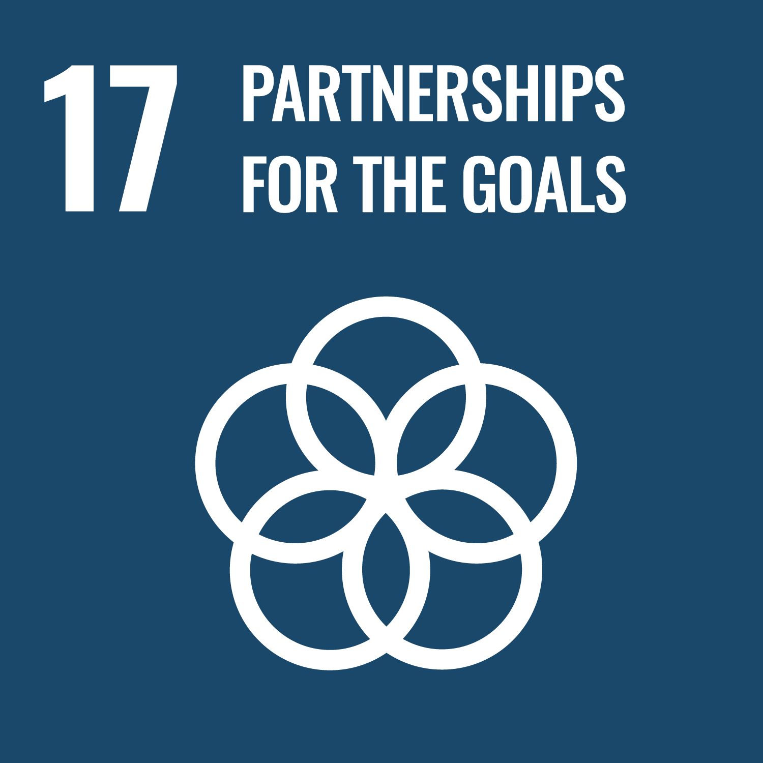 SDG Goal 17: Partnerships to achieve the Goal