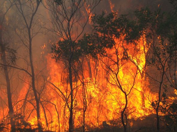 Expansion of Queensland Fire and Biodiversity Consortium