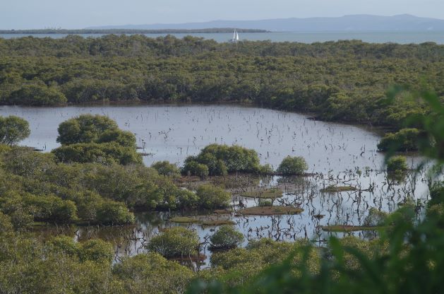Ramsar wetlands photo with migratory shorebirds