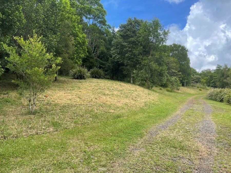 Photo of public access track at Maleny Wetlands