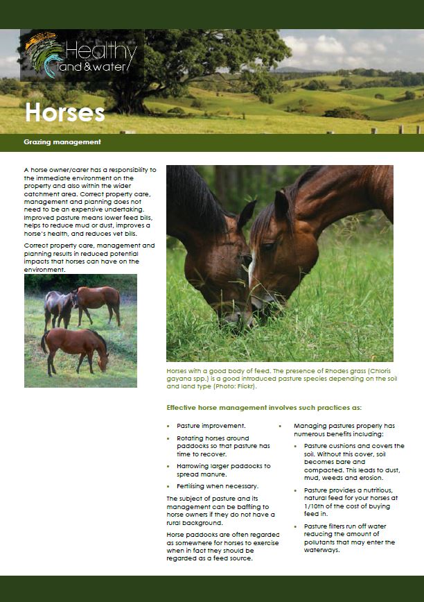 Horses - Horse management - Factsheet
