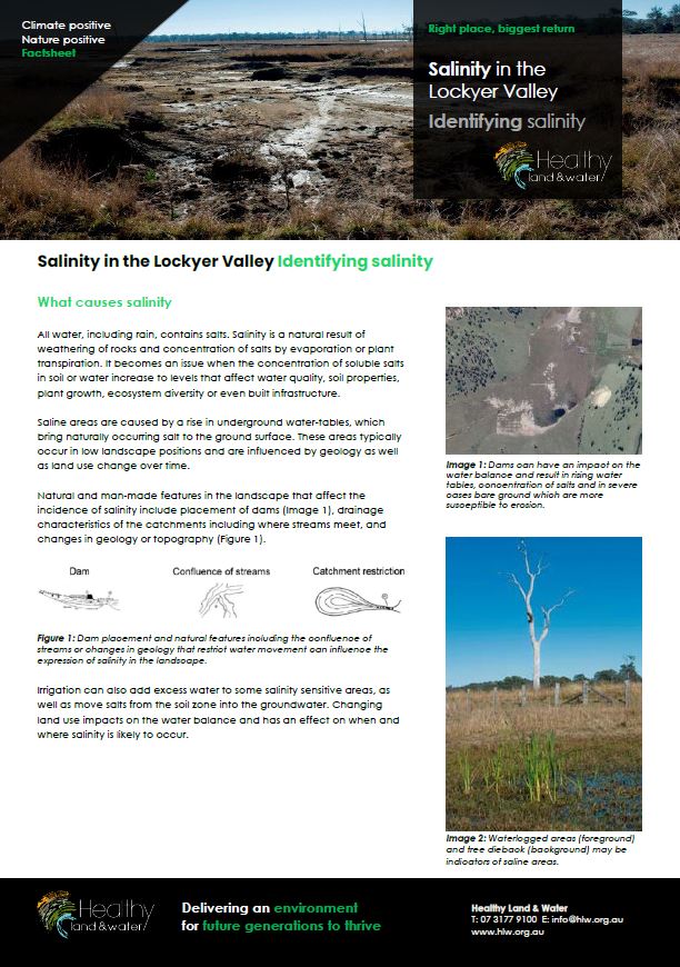 Salinity in the Lockyer Valley - Identifying salinity - Factsheet