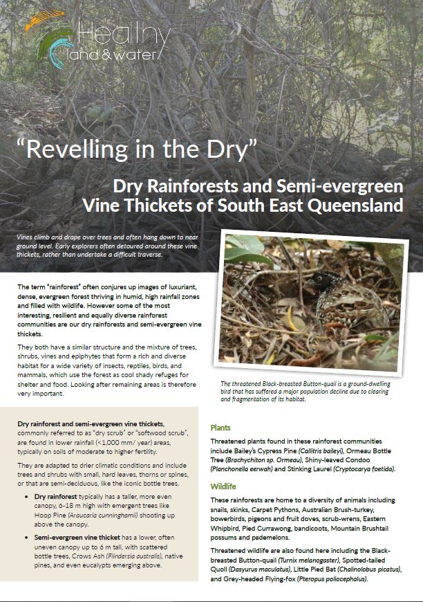 Dry Rainforests and Semi evergreen - Factsheet
