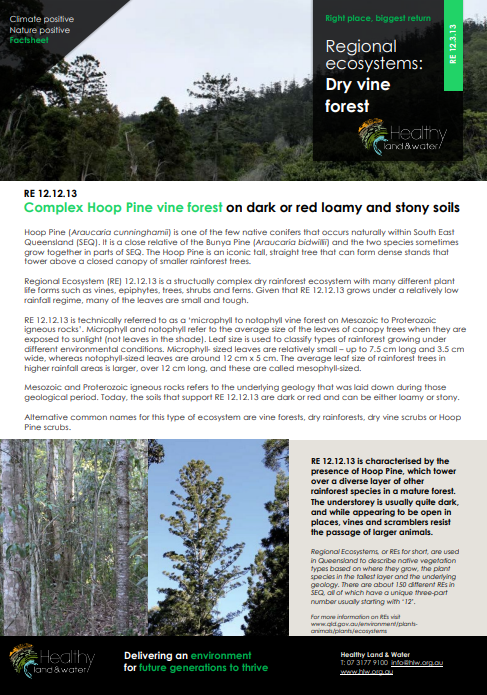 Factsheet Regional Ecosystems Dry Vine Forest 12.12.13