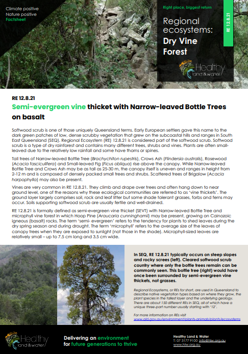 Factsheet Regional Ecosystems Dry Vine Forest 12.8.21