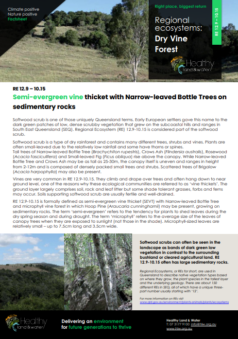Factsheet Regional Ecosystems Dry Vine Forest 12.9-10.15
