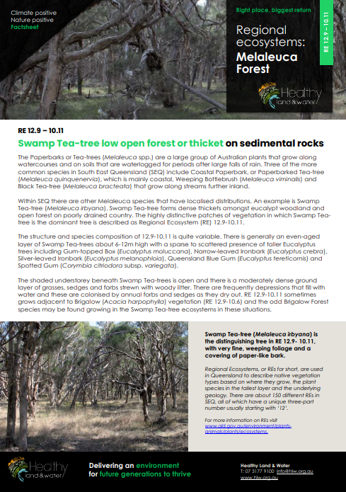 Factsheet Regional Ecosystems Melaleuca Forest 12.9-10.11