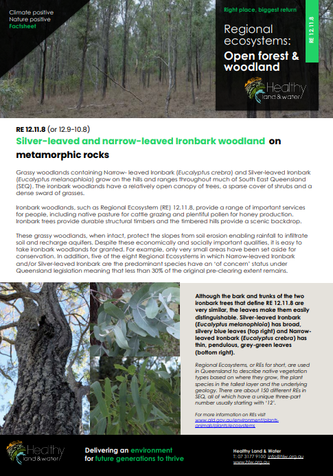 Factsheet Regional Ecosystems Open Forest and Woodland 12.11.8