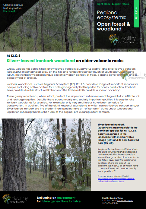Factsheet Regional Ecosystems Open Forest and Woodland 12.12.8