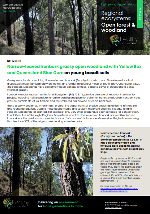 Factsheet Regional Ecosystems Open Forest and Woodland 12.8.16