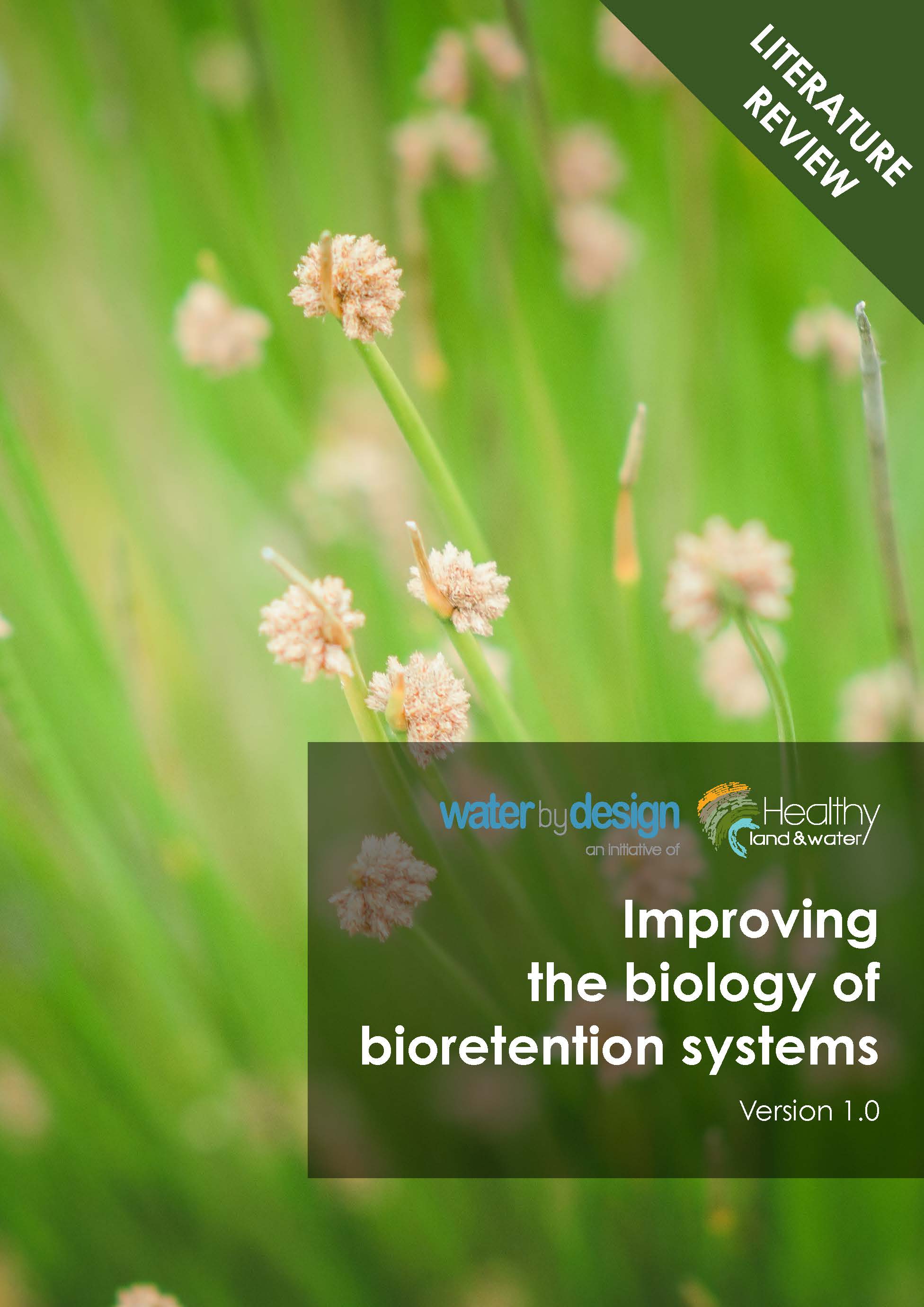 Improving the biology of bioretention systems (2023)