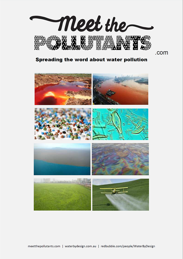 Meet the Polluants - Information pack for partners (2019)